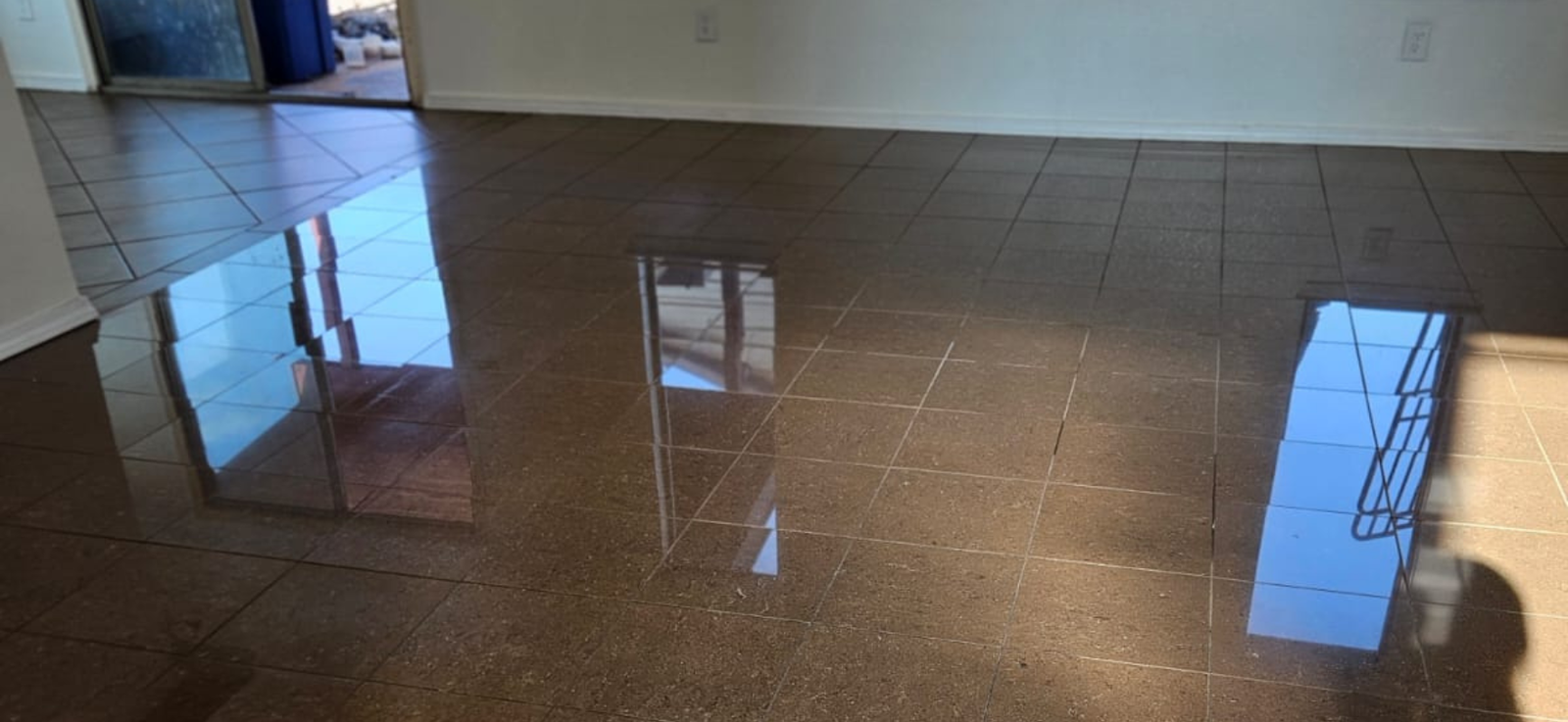 Diseño sin título (16)